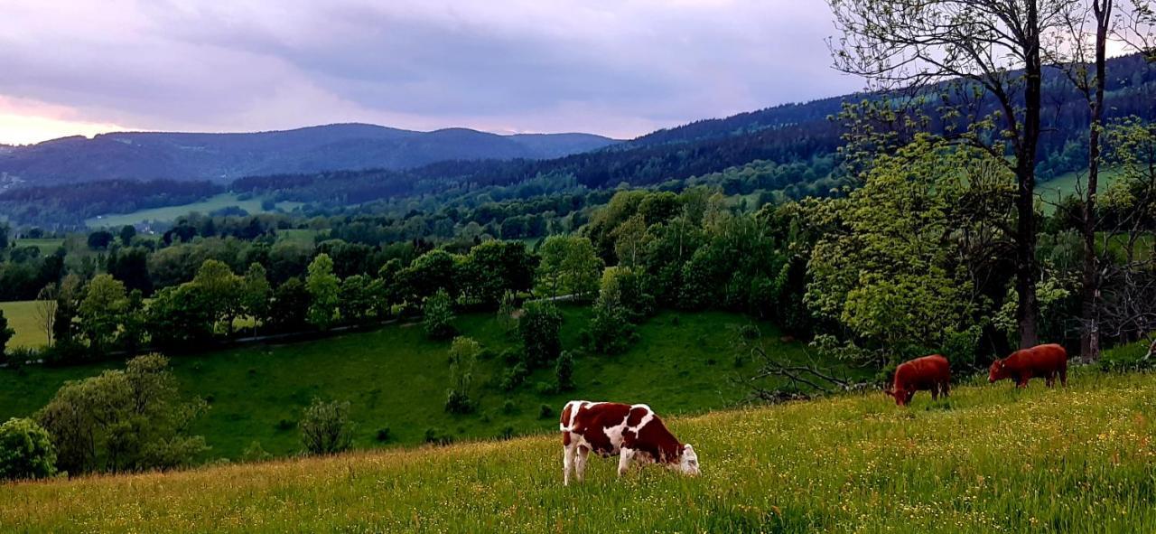 Apartman Hygge Bratrouchov Jablonec nad Jizerou Dış mekan fotoğraf