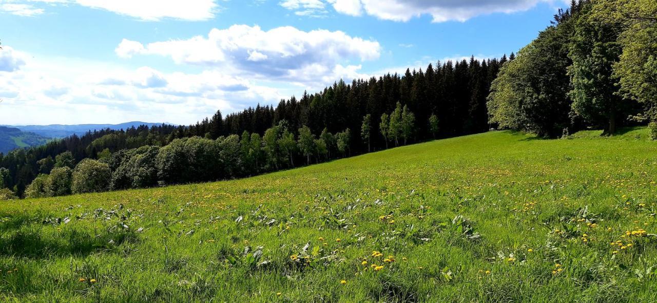 Apartman Hygge Bratrouchov Jablonec nad Jizerou Dış mekan fotoğraf